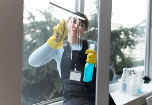 Nettoyage de vitres intérieures et extérieures à Franois